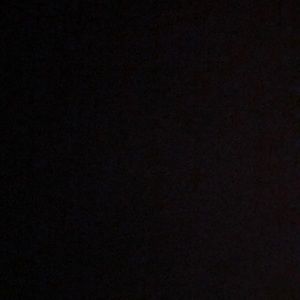 Meet your Posher, Dalia